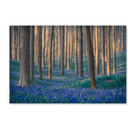 Trademark Fine Art Adrian Popan 'Dreams Are Made Of These' Canvas Art, 16x24 1X00629-C1624GG